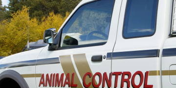 An animal control vehicle on duty in an urban setting.