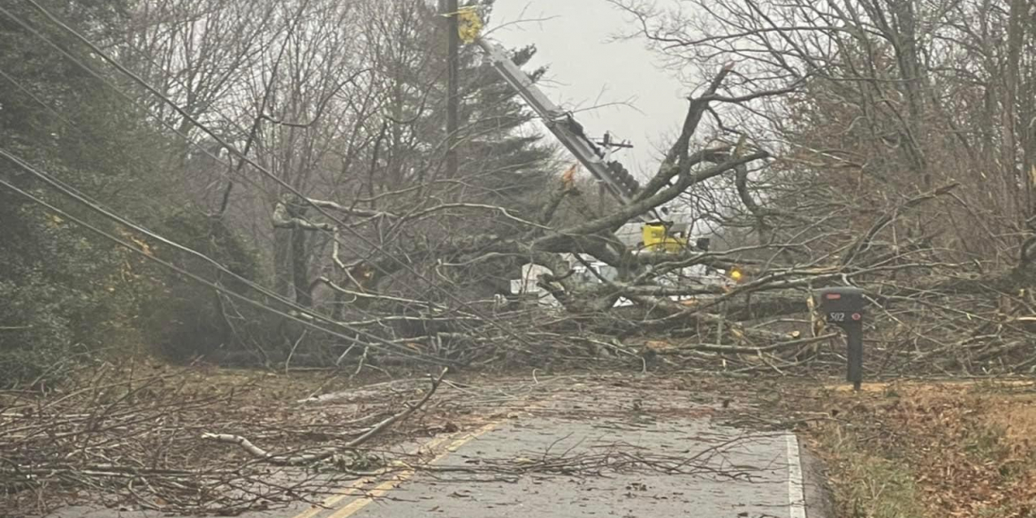 Downed tree blocks a roadway in Bedford County.